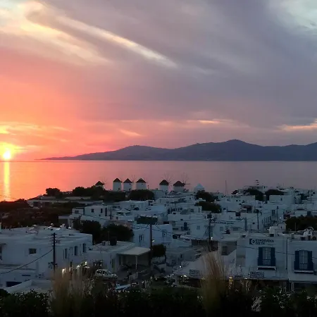 公寓 The House In Town Mykonos Town